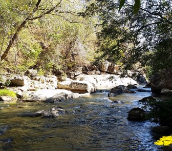 Rincon de la Vieja (4)